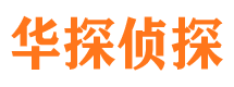 武功侦探公司